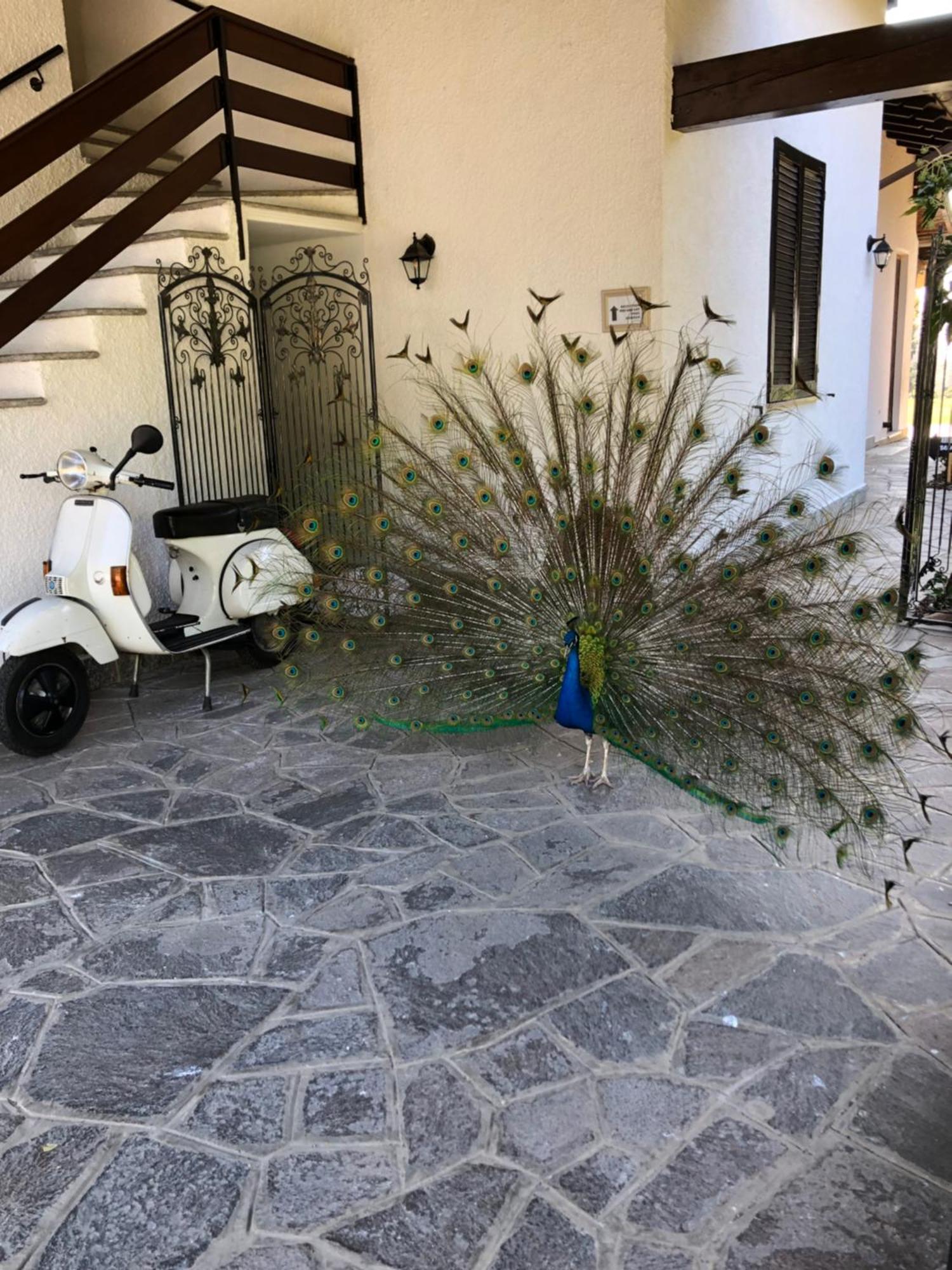 Ai 4 Soli Cermenate Exterior foto