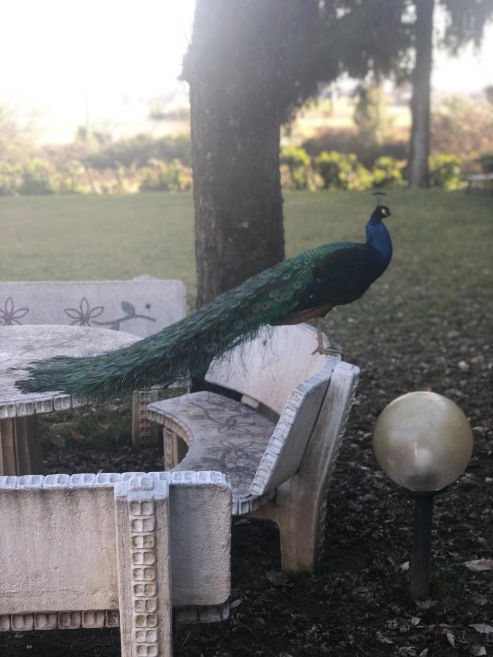 Ai 4 Soli Cermenate Exterior foto